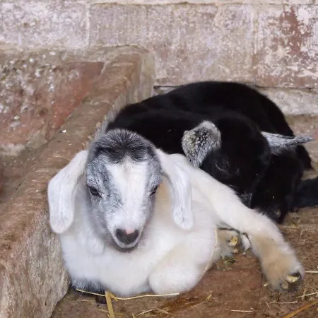 Farm stay Moli Nou De Calabuig-costa Brava
