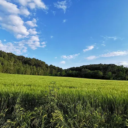 Farm stay Moli Nou De Calabuig-costa Brava Bascara